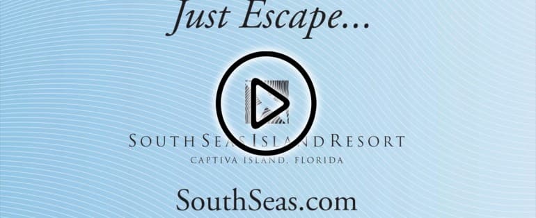 Welcome to South Seas Island